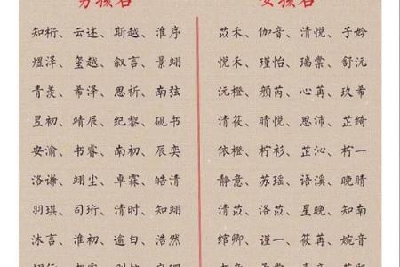 2019年3月20号申时出生的男孩起名方法姓名