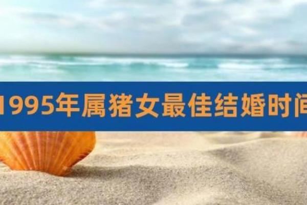 2025年属猪的几月结婚最佳 95年属猪的最佳配偶 2025年属猪的几月结婚最佳 95年属猪的最佳配偶