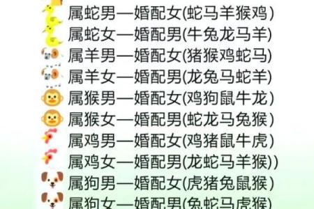 99年属兔女的最佳结婚年龄,1999年属兔婚配男人