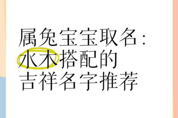 推荐给属兔未时出生的男孩起的名字姓名 推荐给属兔未时出生的男孩起的名字姓名