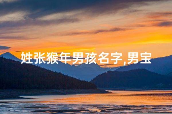 12月份出生的属猴男孩如何取名是好-姓名 12月份出生的属猴男孩如何取名是好-姓名