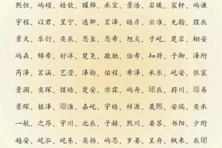 2019年6月16号寅时出生的男孩起名方法姓名