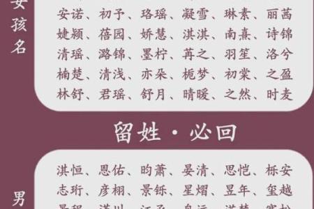 推荐给属兔未时出生的男孩起的名字姓名