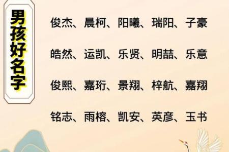 2019年4月16号卯时出生的男孩起名方法姓名