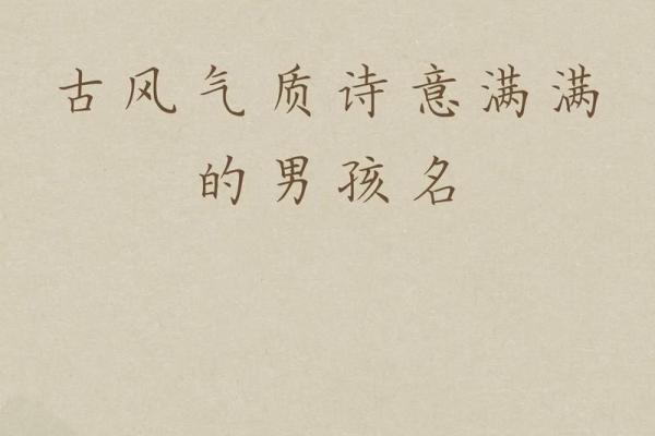 2019年4月11号寅时出生的男孩起名方法姓名