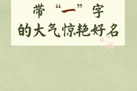 晚上8点出生的属蛇男孩如何起名，适合用什么字姓名