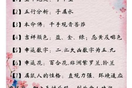 给凌晨2点出生的属鼠男孩取名字要用什么字姓名