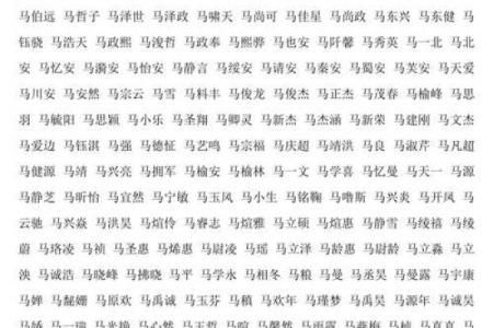 马姓男孩名字大全-马姓男孩起名字大全-马姓名字大全姓名