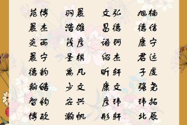 晚上十点出生的属狗男孩怎么取名，用什么字姓名