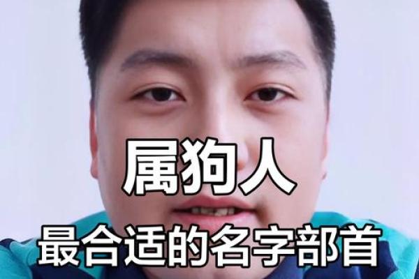 属狗亥时出生的男孩怎样起名，宜用哪些姓名