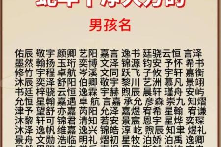 2019年3月26号亥时出生的男孩要怎么起名字姓名