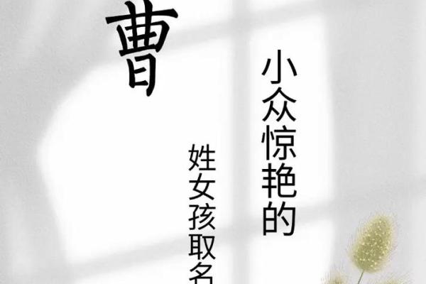 曹姓女孩名字大全-曹姓女孩起名字大全-曹姓名字大全姓名 曹姓女孩名字大全-曹姓女孩起名字大全-曹姓名字大全姓名