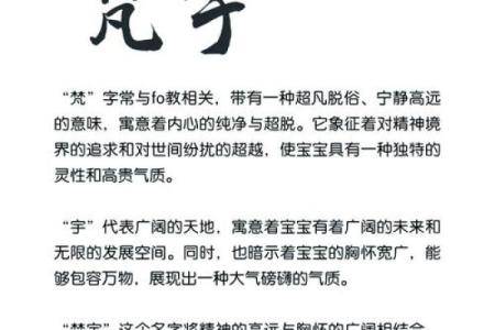 如何给凌晨5点出生的属鸡男孩取名字最合适姓名