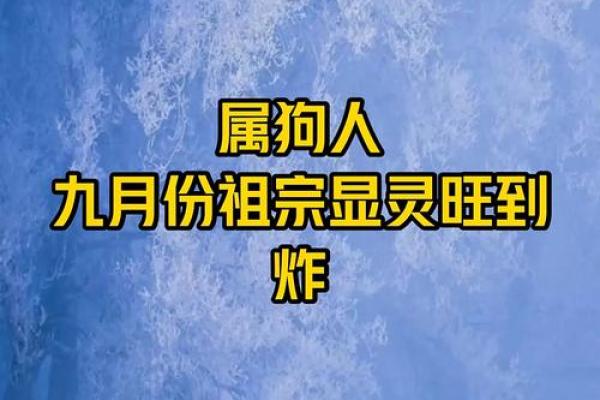九月份出生的属狗男孩应该如何取名字姓名