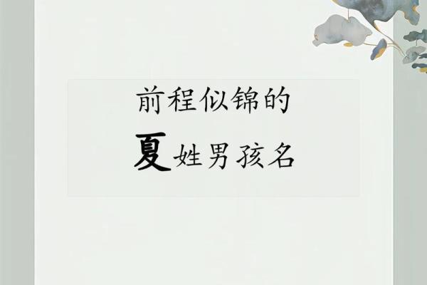 夏姓女孩名字大全-夏姓女孩起名字大全-夏姓名字大全姓名