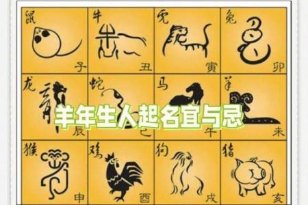 下午出生的属羊男孩应该起什么名，宜用什么字姓名