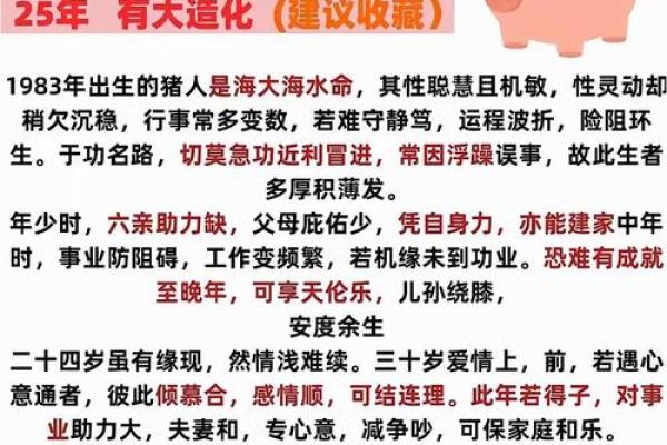 属猪子时出生的男孩如何起名，适合什么字姓名
