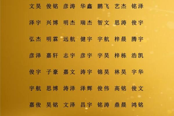 2019年4月20号寅时出生的男孩要怎么起名字姓名