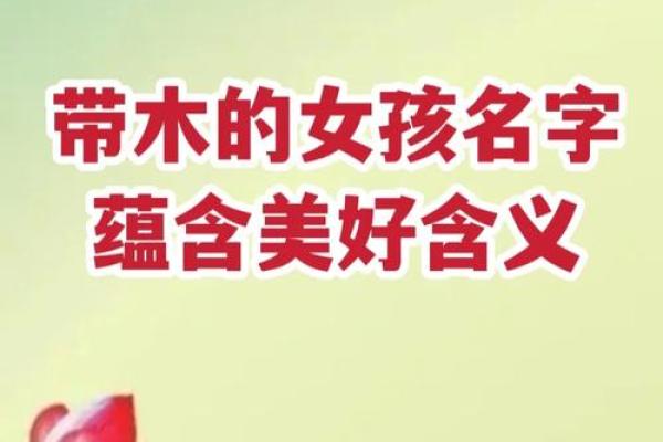 带木字旁的女孩名字-名字大全-姓名学-华易算命网姓名