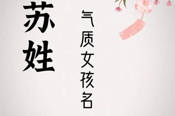 苏姓女孩名字大全-苏姓女孩起名字大全-苏姓名字大全姓名