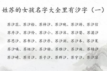 苏姓女孩名字大全-苏姓女孩起名字大全-苏姓名字大全姓名