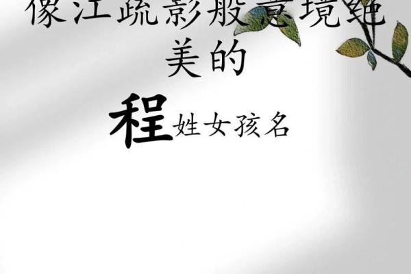 程姓女孩名字大全-程姓女孩起名字大全-程姓名字大全姓名