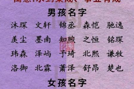 2019年4月9号辰时出生的男孩起名时要注意什么姓名