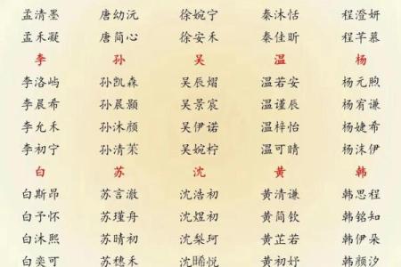 2019年3月31号亥时出生的男孩要怎么起名字姓名