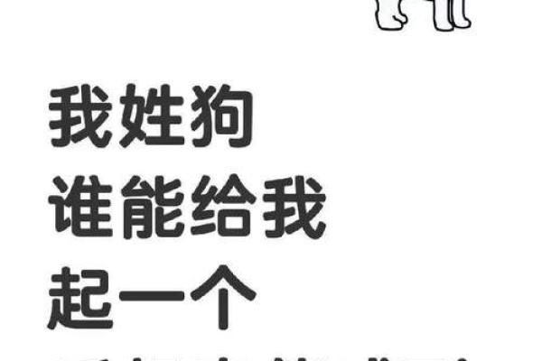 中午12点出生的属狗男孩取什么名，适合什么字姓名
