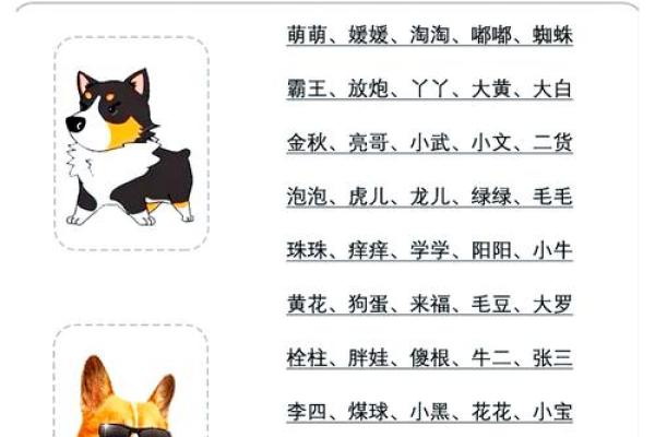 十一月份出生的属狗男孩应该名字该怎么取姓名