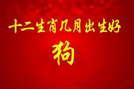 中午12点出生的属狗男孩取什么名，适合什么字姓名