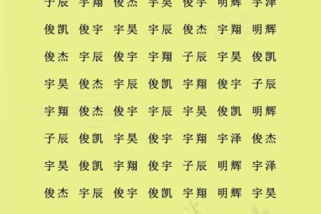 2019年5月30号寅时出生的男孩如何起名姓名