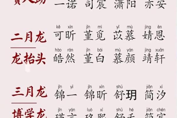 2月份出生的属龙男孩如何起名姓名