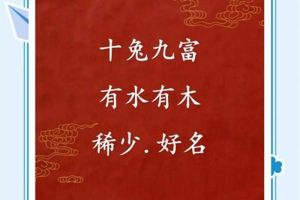 12月份出生的属兔男孩取哪些名字好姓名