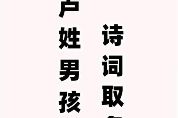 卢姓男孩名字大全-卢姓男孩起名字大全-卢姓名字大全姓名