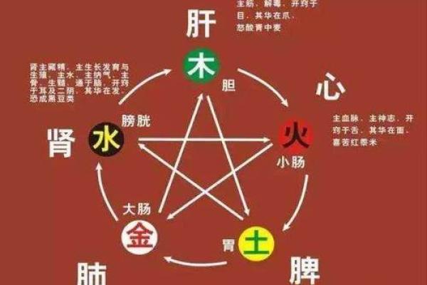 濮阳氏的人主要迁徙位置和郡望堂号-姓名学-华易算命网姓名