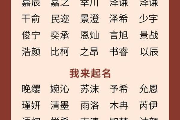 2019年3月26号辛时出生的男孩要怎么起名字姓名
