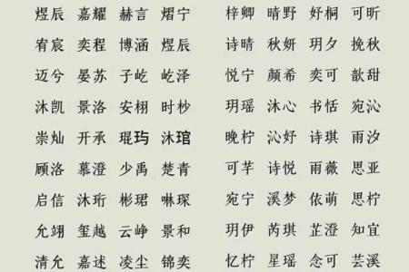 2019年6月24号丑时出生的男孩起名时要注意什么姓名