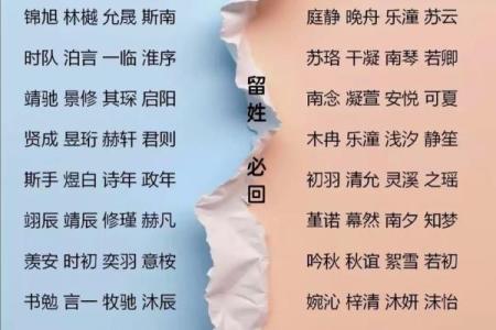 姓芮的名人-姓名学-华易算命网姓名