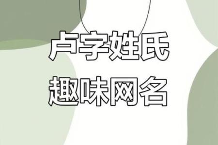 卢姓男孩名字大全-卢姓男孩起名字大全-卢姓名字大全姓名