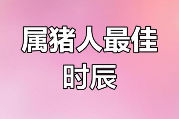 1月份出生的属猪男孩起什么名字好姓名