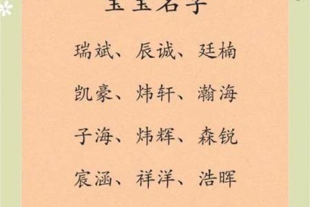 2019年6月20号丑时出生的男孩起名方法姓名