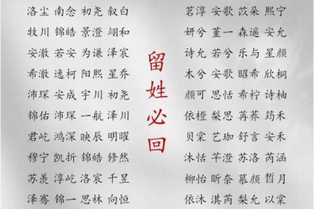 2019年3月31号未时出生的男孩要怎么起名字姓名