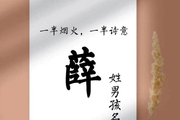 薛氏家族的字辈排行和家谱记载-姓名学-华易网姓名