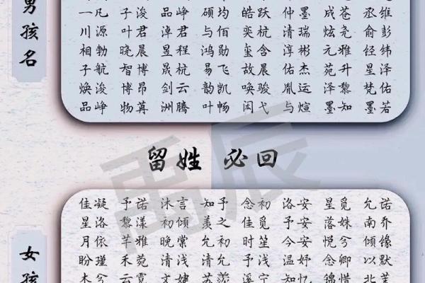2019年4月29号卯时出生的男孩如何起名姓名