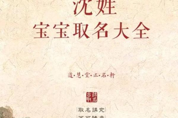 沈姓男孩名字大全-沈姓男孩起名字大全-沈姓名字大全姓名