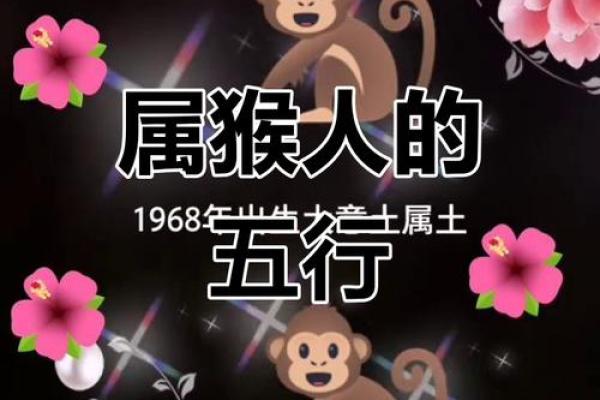 用什么字给晚上11点出生的属猴男孩取名字合适姓名