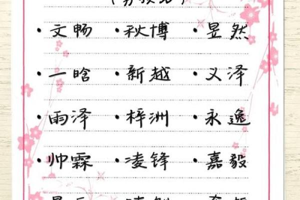 2019年6月22号卯时出生的男孩要怎么起名字姓名