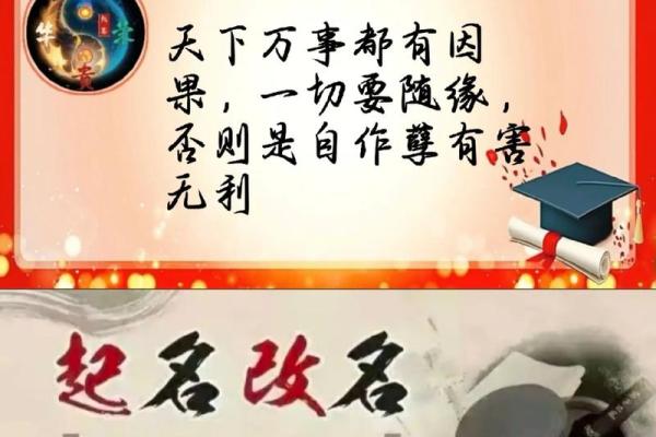 数理诱导作用分类-姓名学-姓名分析姓名