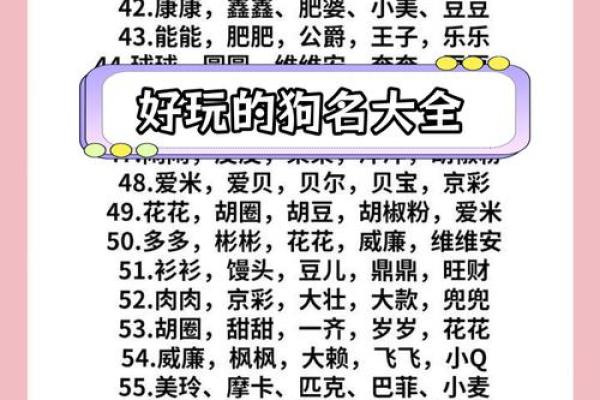 晚上7点出生的属狗男孩怎么取名，用什么字好姓名